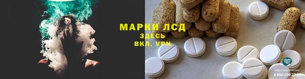 ГАЛЛЮЦИНОГЕННЫЕ ГРИБЫ Заволжье