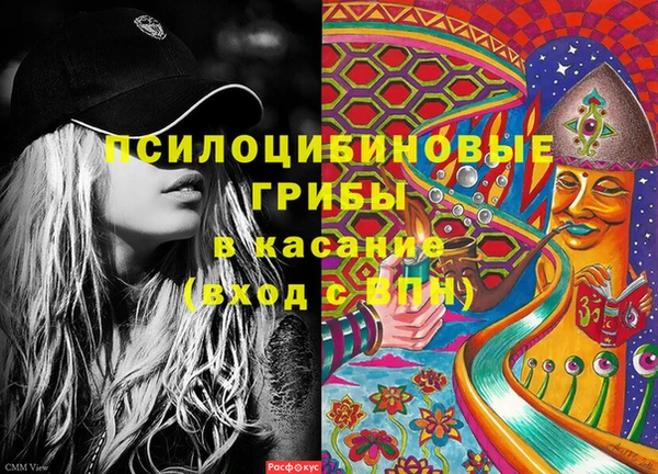 ECSTASY Заводоуковск