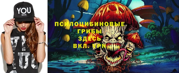 скорость Зеленодольск