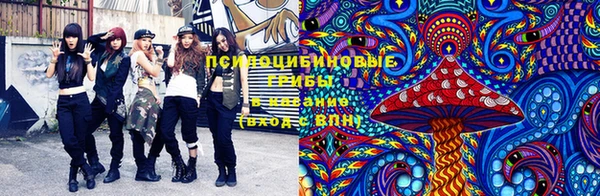 ГАЛЛЮЦИНОГЕННЫЕ ГРИБЫ Заволжье