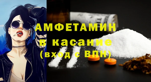 ГАЛЛЮЦИНОГЕННЫЕ ГРИБЫ Заволжье