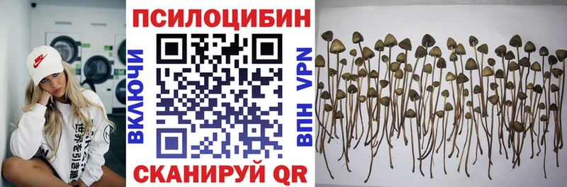 Купить  Новый Оскол  Галлюциногенные грибы ЛСД 